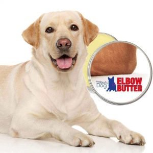How to treat dog elbow calluses,The Blissful Dog Organic Elbow Butter,elbow butter