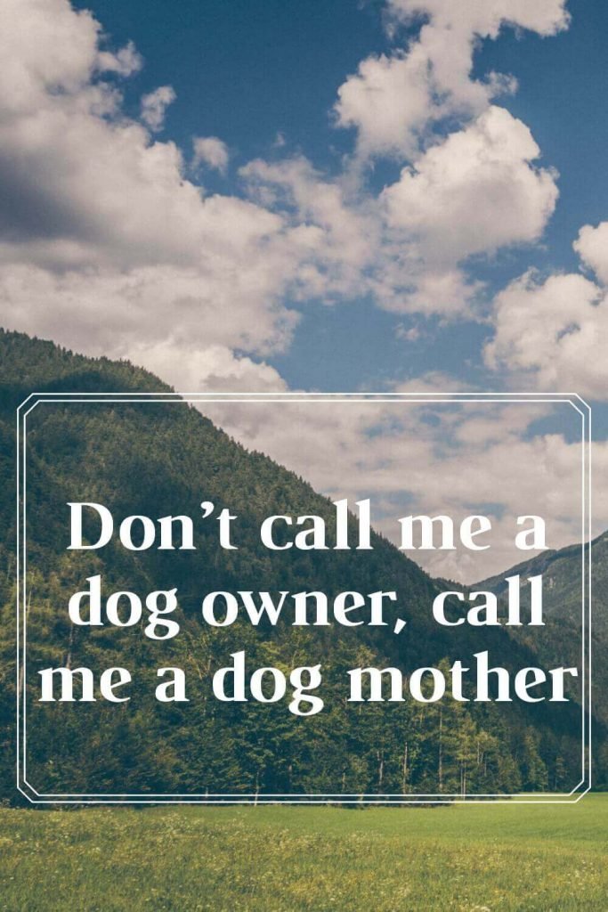 Don’t call me a dog owner, call me a dog mother.