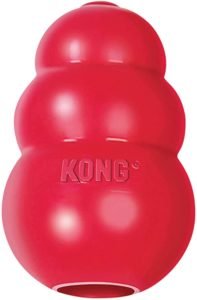 kong toy