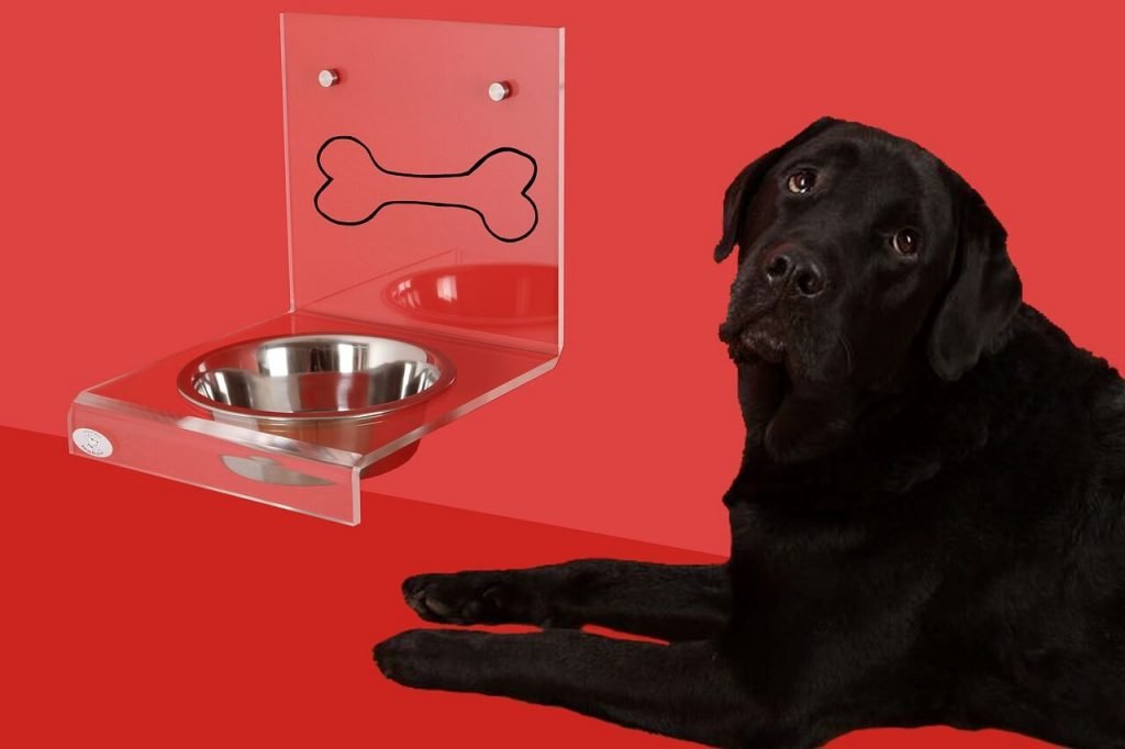 Pros and Cons of elevated Dog feeders