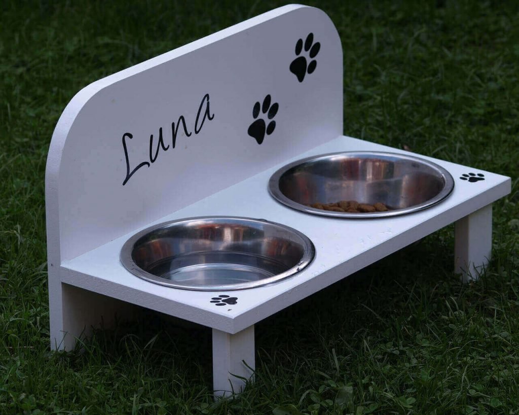 are raised dog food bowls good or bad