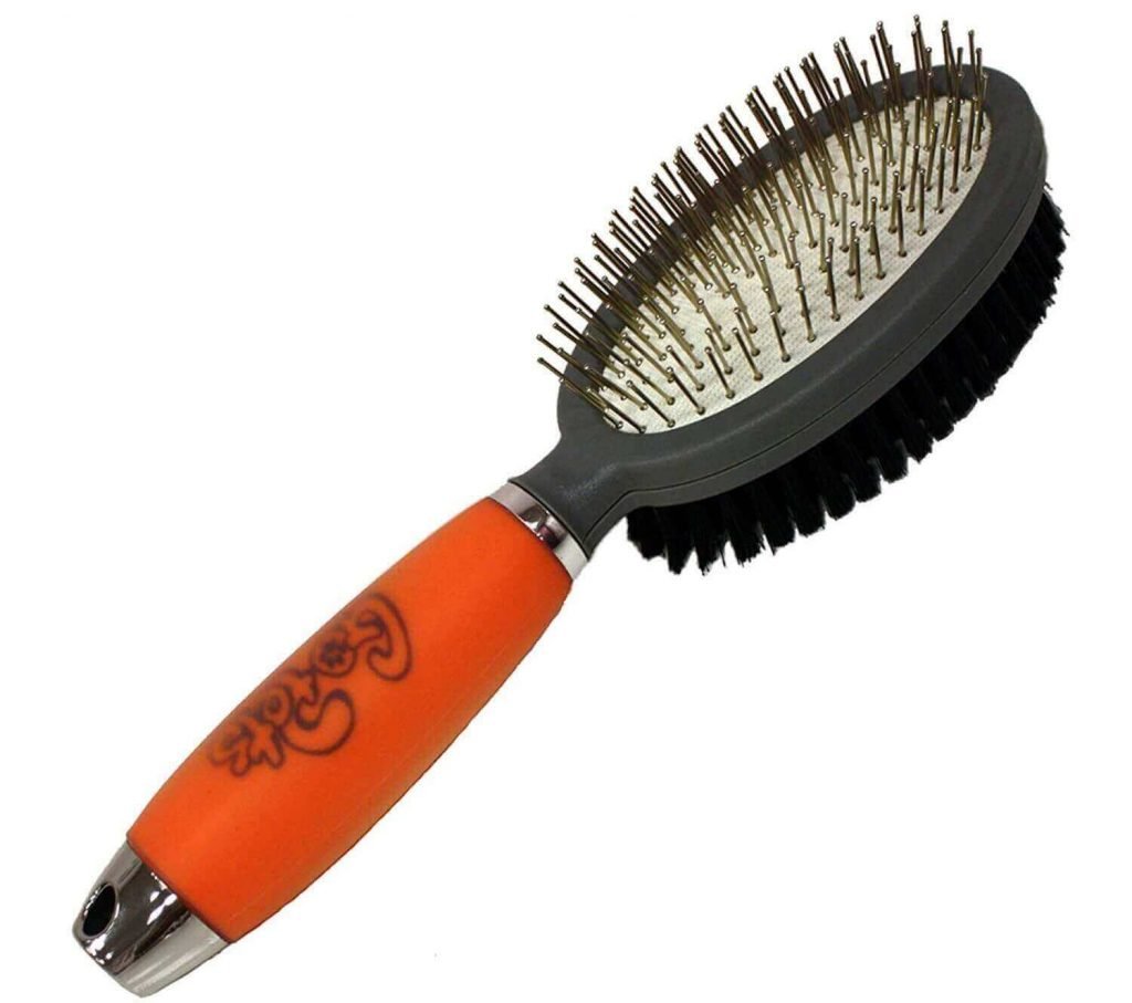 Can You Shave a Lab? 5 things you must know about a Shaved Labrador