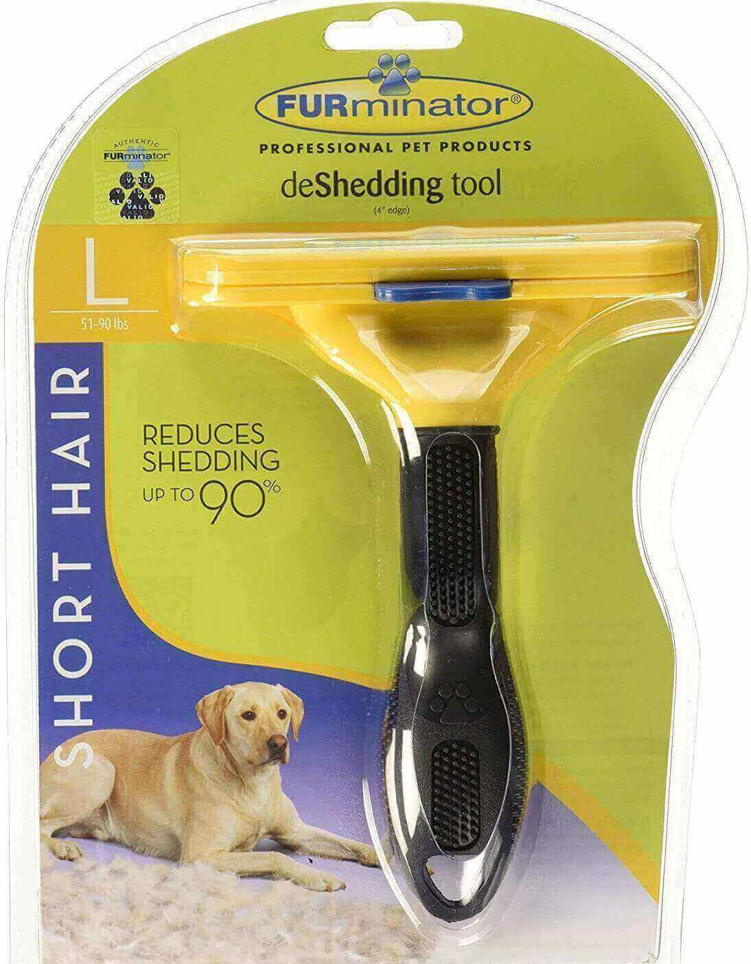 Can You Shave a Lab? 5 things you must know about a Shaved Labrador Labrador Loving Souls