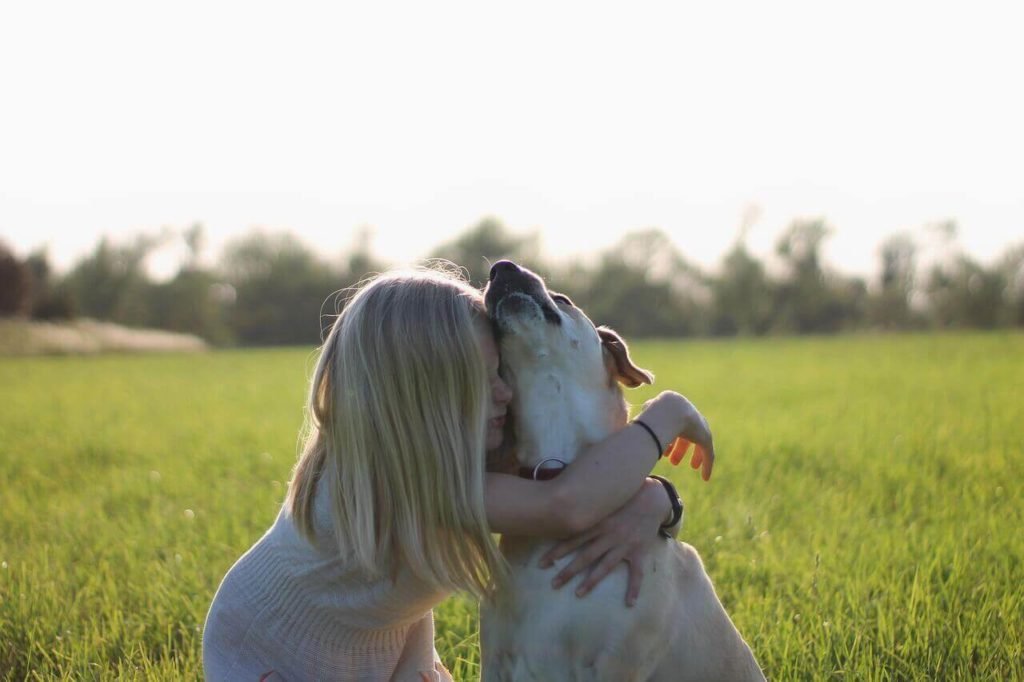 7 True Signs Of a Happy Labrador